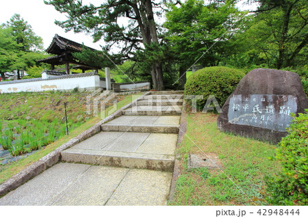高月院 松平郷 豊田市 高月院 松平郷 豊田市 42948444