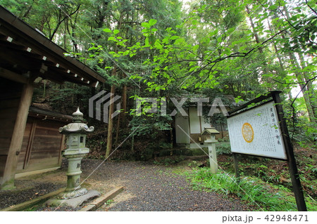 松平東照宮 松平郷 豊田市 松平東照宮 松平郷 豊田市 42948471
