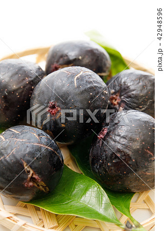 フルーツ　黒イチジク　品種：ヌアールドカロン 42948596