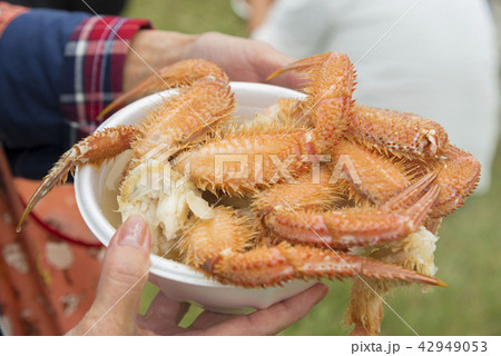 北海道の美味しい蟹 42949053