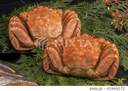 北海道の美味しい蟹料理 42949272