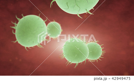Bacteria spread inside the body 42949475