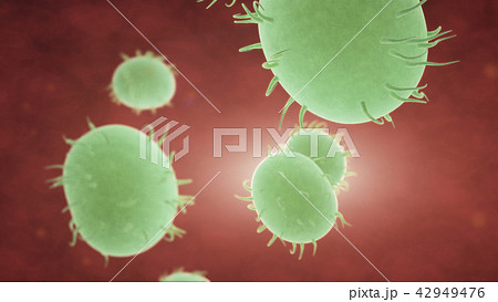 Bacteria spread inside the body 42949476