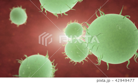 Bacteria spread inside the body 42949477