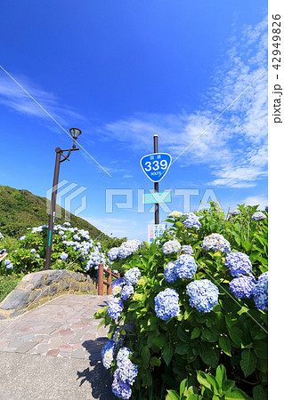 階段国道339号線 42949826