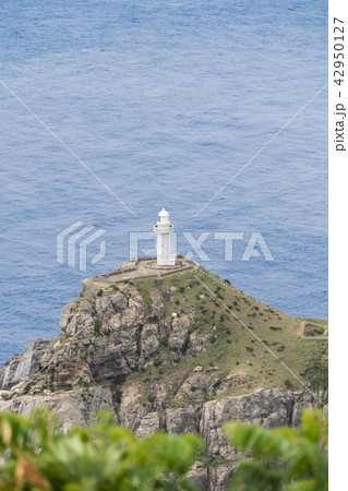 大瀬埼灯台 42950127
