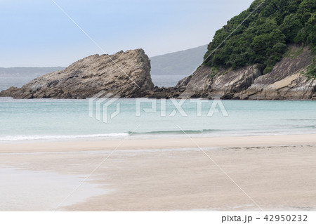 高浜海水浴場 高浜海水浴場 42950232