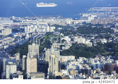横浜山手町の街並みと東京湾を南航するダイヤモンドプリンセス 横浜山手町の街並みと東京湾を南航するダイヤモンドプリンセス 42950472