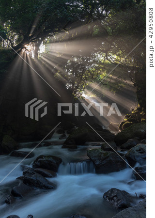 光芒の滝 42950808