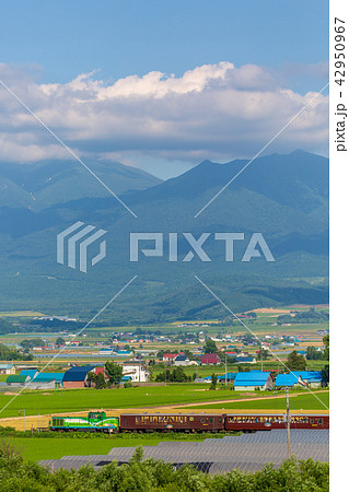 富良野・美瑛ノロッコ ラベンダー畑駅 富良野・美瑛ノロッコ ラベンダー畑駅 42950967