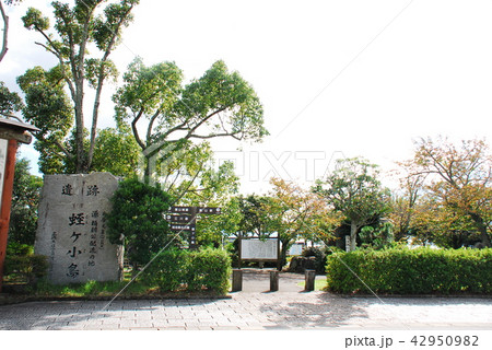 源頼朝、伊豆配流の地「蛭ヶ島公園」(静岡県伊豆の国市) 源頼朝、伊豆配流の地「蛭ヶ島公園」(静岡県伊豆の国市) 42950982