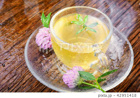 Summer herbal tea with clover 42951418