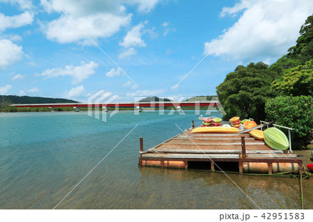 沖縄県　西表島　 浦内川 42951583