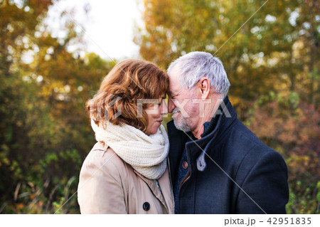 Senior couple in love in an autumn nature, touching noses. 42951835