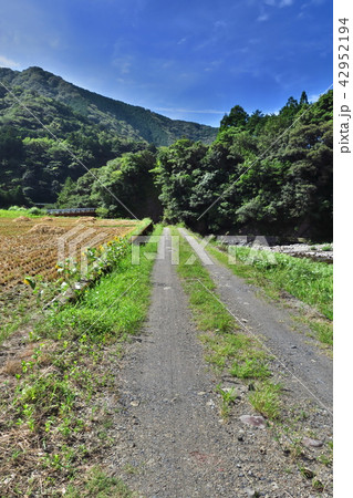 日本の夏　田舎の道 42952194