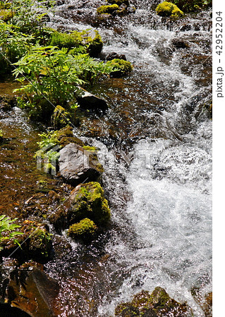 羊蹄山の伏流水 42952204