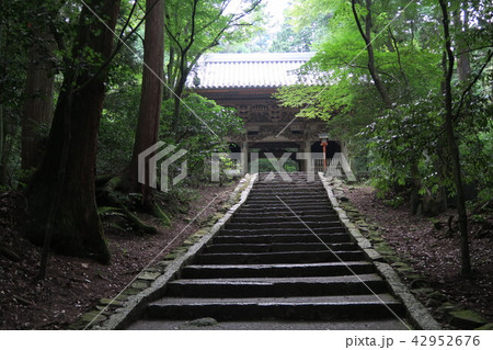 【四国三十六不動霊場】第二十二番　西山興隆寺の山門と参道の石段　愛媛県西条市 42952676
