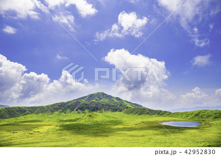 阿蘇の美しい草千里ヶ浜 阿蘇の美しい草千里ヶ浜 42952830