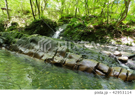信州 辰野町 横川渓谷の蛇石(じゃいし) 世界に類例がない貫入岩脈 国指定天然記念物 信州 辰野町 横川渓谷の蛇石(じゃいし) 世界に類例がない貫入岩脈 国指定天然記念物 42953114