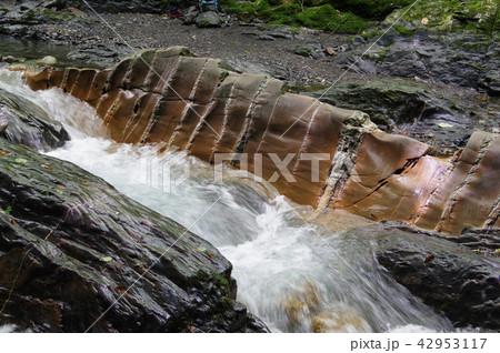 信州　辰野町　横川渓谷の蛇石（じゃいし）　世界に類例がない貫入岩脈　国指定天然記念物 42953117