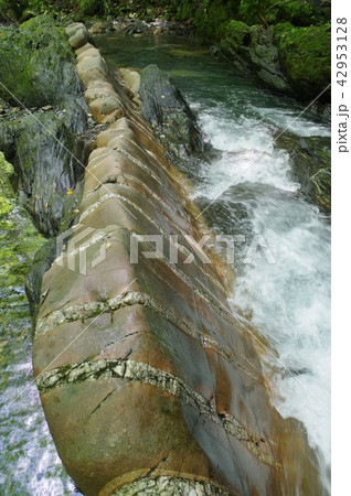 信州　辰野町　横川渓谷の蛇石（じゃいし）　世界に類例がない貫入岩脈　国指定天然記念物 42953128