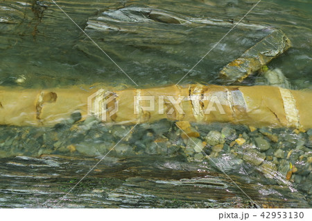 信州　辰野町　横川渓谷の蛇石（じゃいし）　世界に類例がない貫入岩脈　国指定天然記念物 42953130