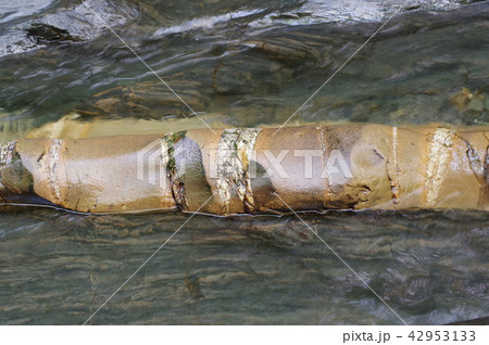 信州　辰野町　横川渓谷の蛇石（じゃいし）　世界に類例がない貫入岩脈　国指定天然記念物 42953133