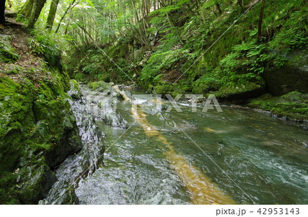 信州 辰野町 横川渓谷の蛇石(じゃいし) 世界に類例がない貫入岩脈 国指定天然記念物 信州 辰野町 横川渓谷の蛇石(じゃいし) 世界に類例がない貫入岩脈 国指定天然記念物 42953143