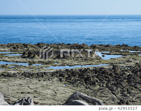 台湾澎湖・桶盤嶼 "蓮花座” 旧火口/ "Lotus Seat", Tongpan, Taiwan 42953527
