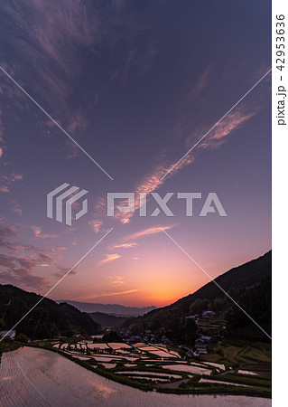 奈良明日香村の棚田の水鏡 奈良明日香村の棚田の水鏡 42953636