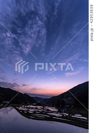 奈良明日香村の棚田の水鏡 42953639