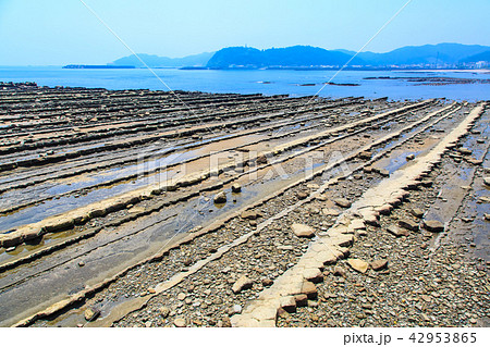 青島神社　鬼の洗濯板　【宮崎県宮崎市】 42953865