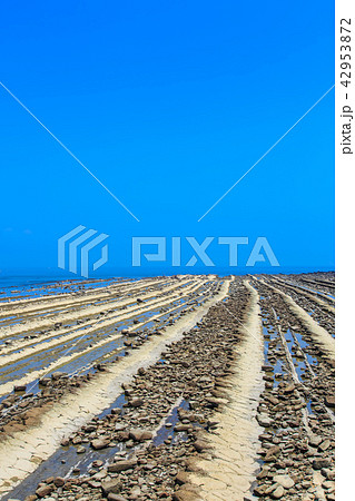 青島神社　鬼の洗濯板　【宮崎県宮崎市】 42953872