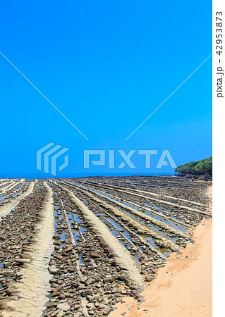 青島神社　鬼の洗濯板　【宮崎県宮崎市】 42953873