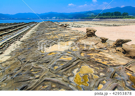 青島神社　鬼の洗濯板　【宮崎県宮崎市】 42953878