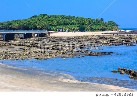 青島神社 鬼の洗濯板と弥生橋 【宮崎県宮崎市】 青島神社 鬼の洗濯板と弥生橋 【宮崎県宮崎市】 42953933