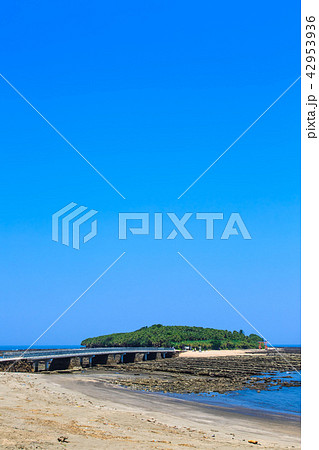 青島神社　鬼の洗濯板と弥生橋　【宮崎県宮崎市】 42953936