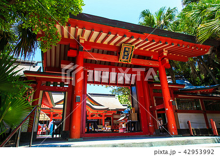 青島神社　【宮崎県宮崎市】 42953992