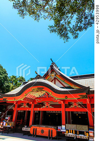 青島神社　【宮崎県宮崎市】 42953998