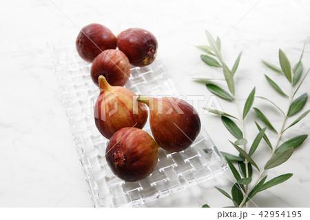 フルーツ　いちじく　品種：マスイドーフィン 42954195