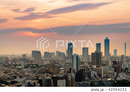 夕暮れの東京の街 夕暮れの東京の街 42954232