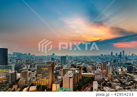 夕暮れの東京の街 夕暮れの東京の街 42954233