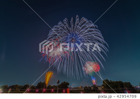 第59回いたばし花火大会 第59回いたばし花火大会 42954709