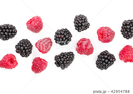 blackberry and raspberry isolated on white background. Top view with copy space for your text. Flat 42954788