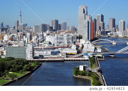 築地市場 42954823