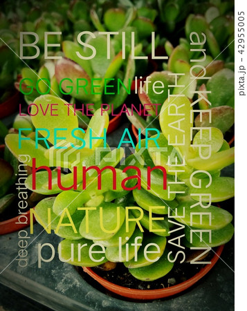 words with green little plant as background words with green little plant as background 42955005