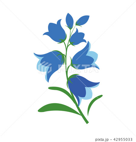 Nature Flower Bluebell Flowerのイラスト素材