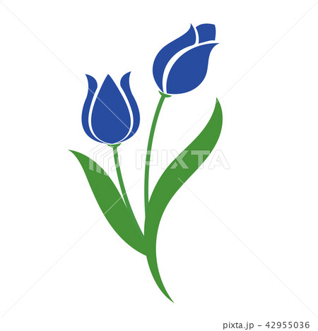 Nature flower blue tulip Nature flower blue tulip 42955036