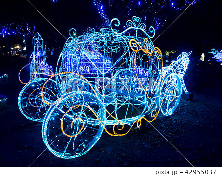 イルミネーション 42955037