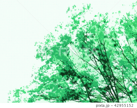 グリーンの背景 グリーンの背景 42955152